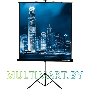 Проекционный экран Lumien Master View 244x244 (LMV-100105)
